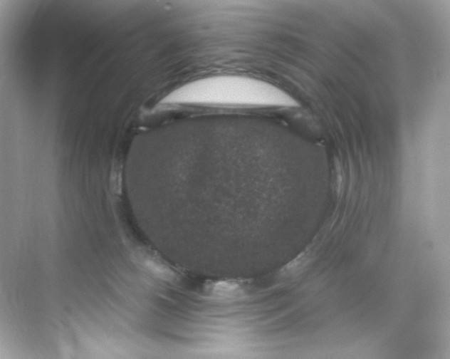 X0000069810180200606091844