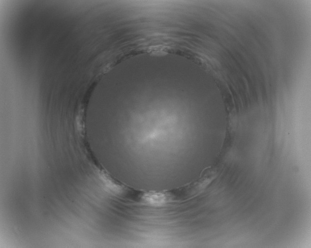 X0000069810181200606091844