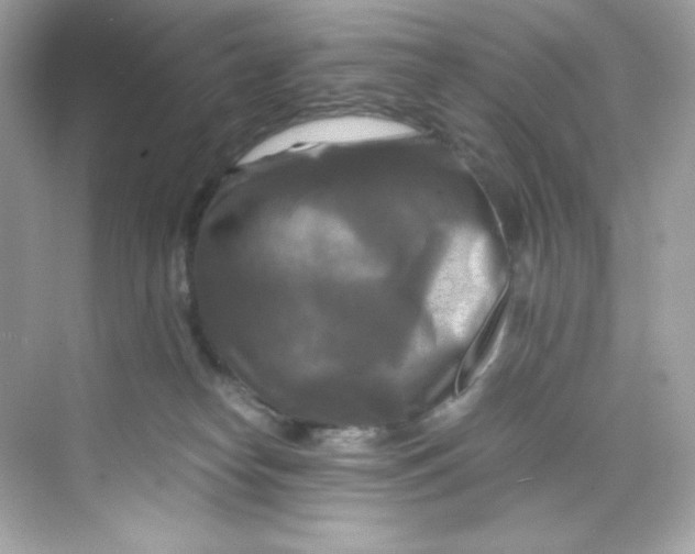 X0000069810182200606091844