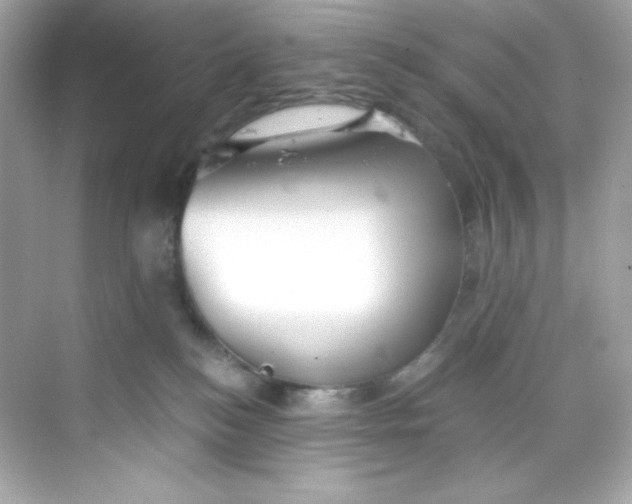 X0000069810184200606091844