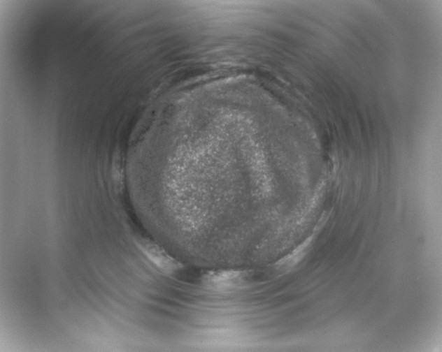 X0000069810186200606091844