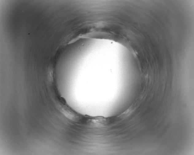 X0000069810188200606091844