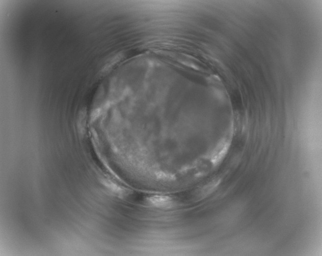 X0000069810189200606091844