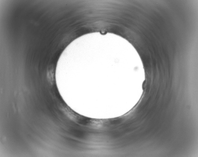 X0000069810190200606091844