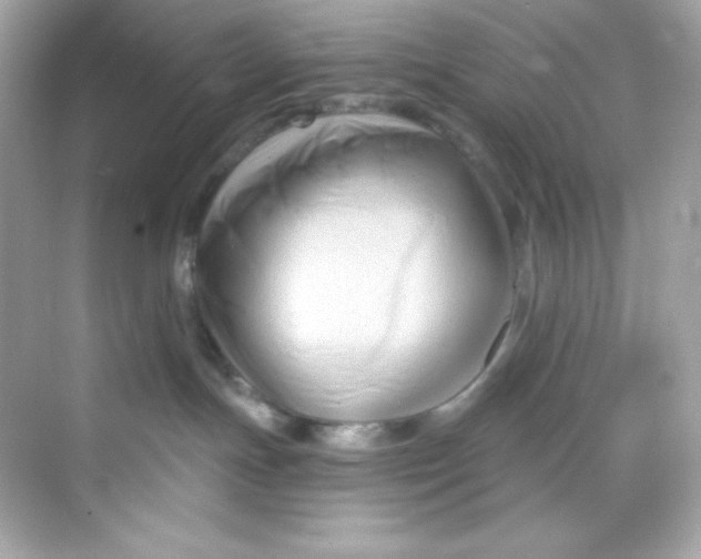 X0000069810191200606091844