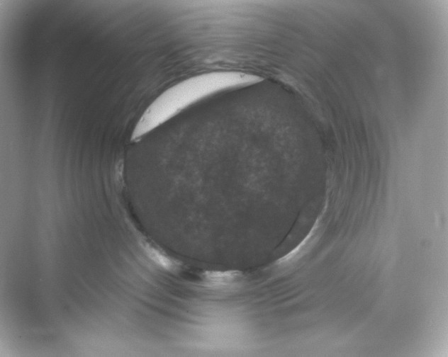 X0000069810192200606091844