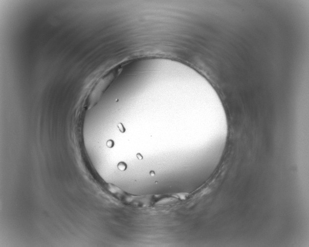 X0000069810193200606091844