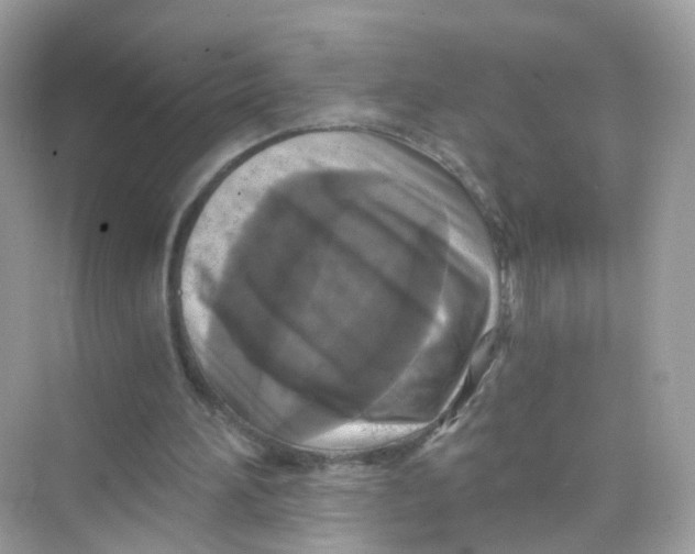 X0000069810196200606091844