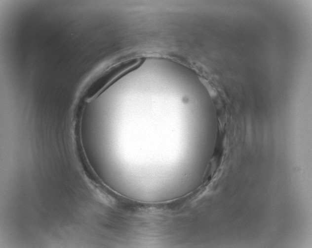 X0000069810197200606091843