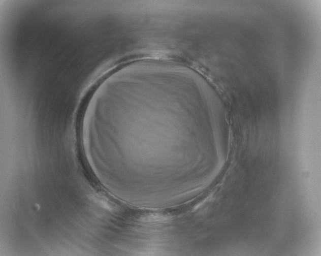 X0000069810198200606091843