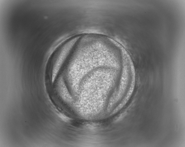 X0000069810199200606091843