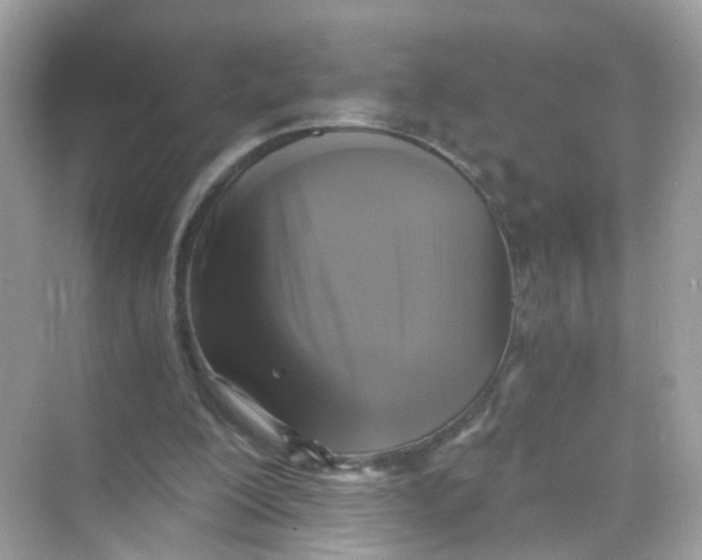 X0000069810200200606091843