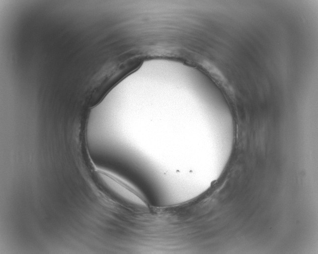 X0000069810201200606091843