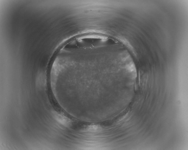 X0000069810204200606091843