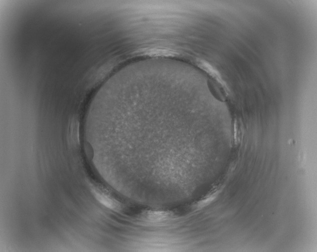 X0000069810205200606091843