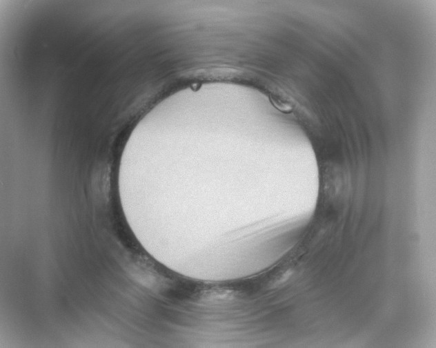 X0000069810206200606091843