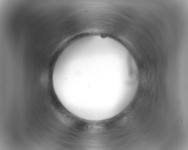 X0000069810208200606091843