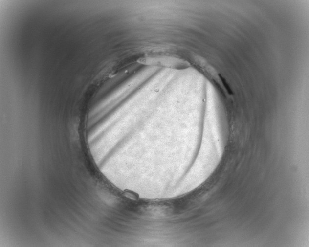 X0000069810209200606091843