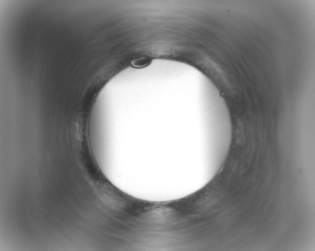 X0000069810210200606091843