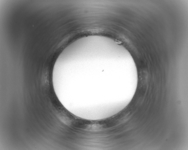 X0000069810212200606091843