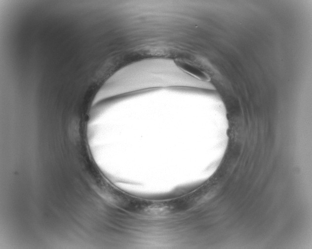 X0000069810213200606091843