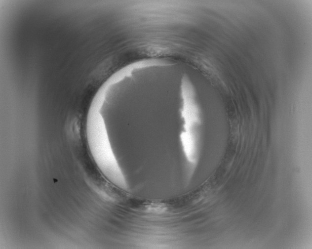 X0000069810214200606091843