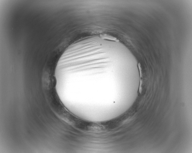 X0000069810215200606091843