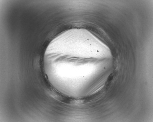 X0000069810217200606091843