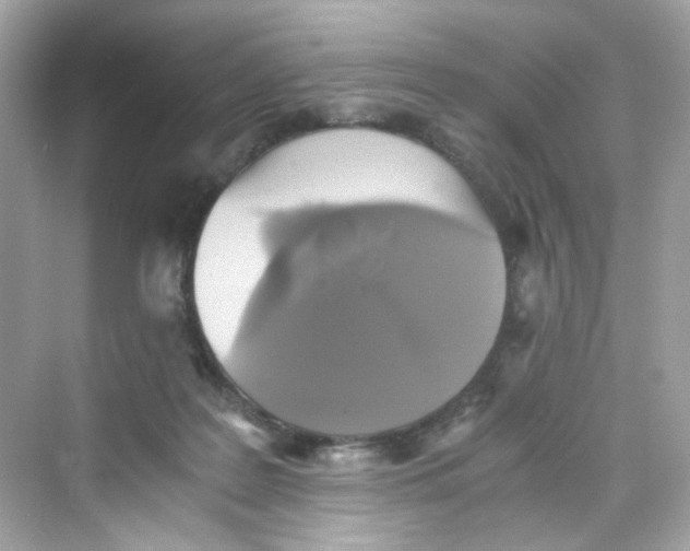 X0000069810219200606091843