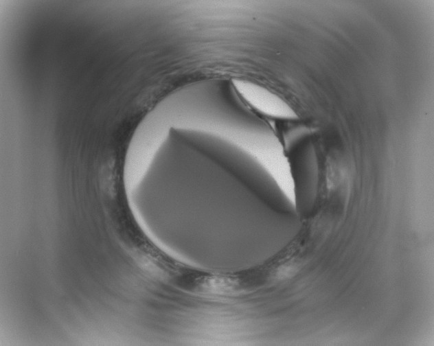 X0000069810223200606091843