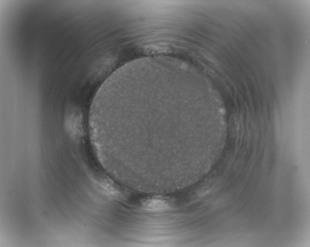 X0000069810224200606091843