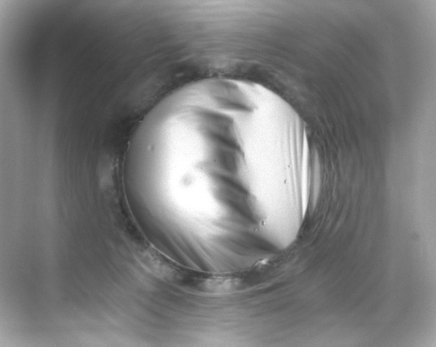 X0000069810225200606091843