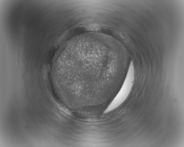 X0000069810229200606091843