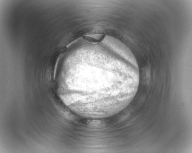 X0000069810230200606091843