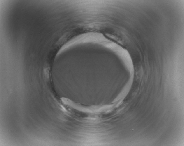 X0000069810231200606091843