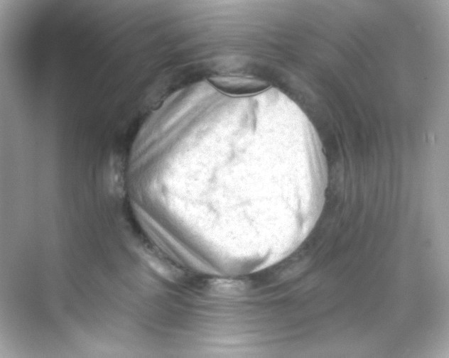 X0000069810234200606091843