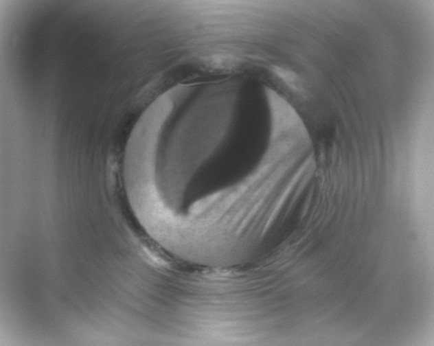 X0000069810235200606091843