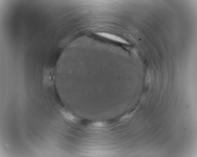 X0000069810237200606091843