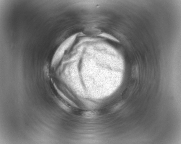 X0000069810238200606091843