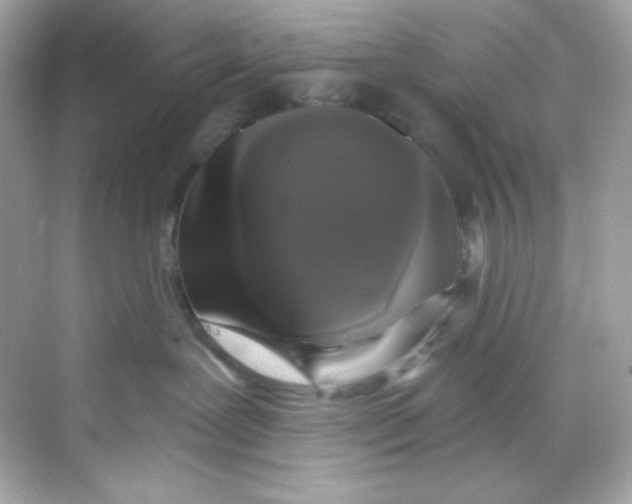 X0000069810239200606091843