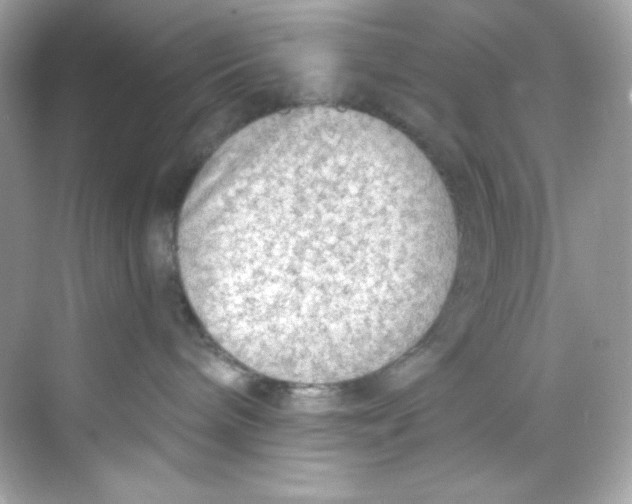 X0000069810240200606091843