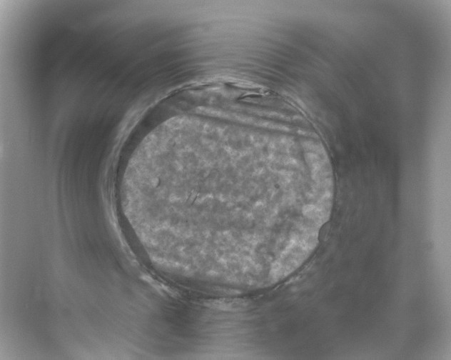 X0000069810241200606091842