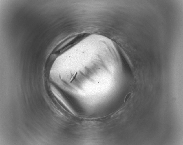 X0000069810242200606091842