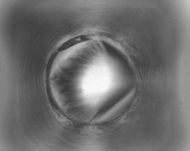 X0000069810244200606091842