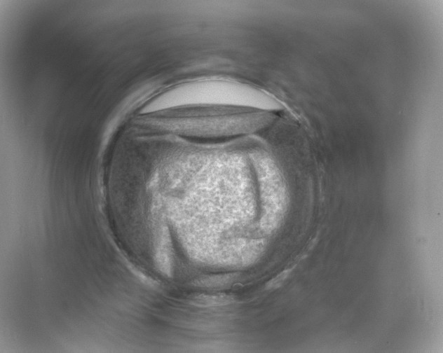 X0000069810245200606091842