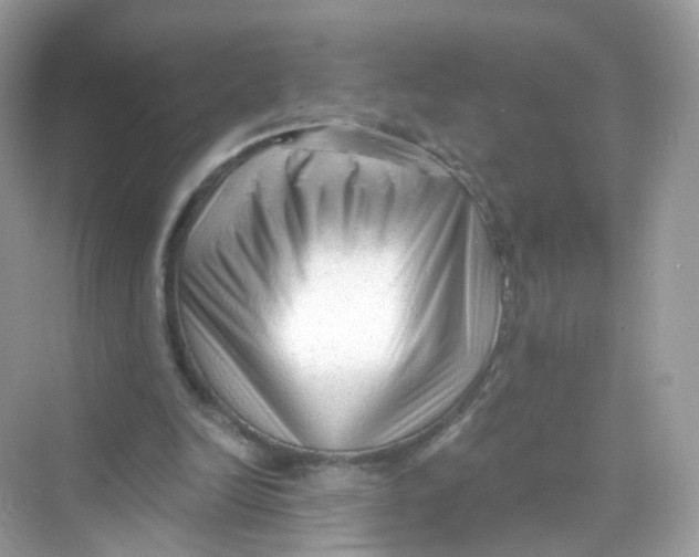 X0000069810246200606091842