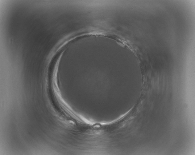 X0000069810247200606091842