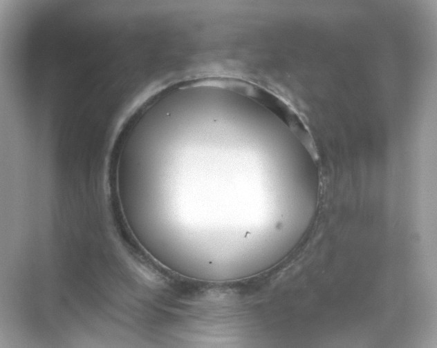 X0000069810248200606091842