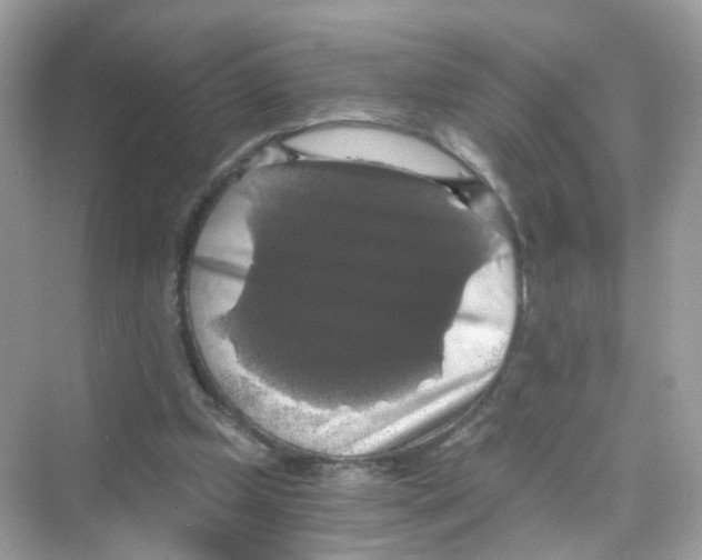 X0000069810249200606091842