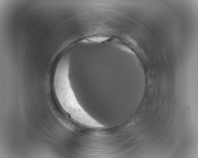 X0000069810250200606091842